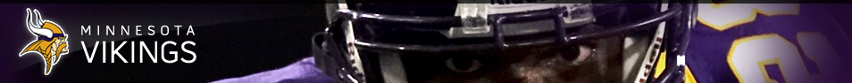 vikingsbanner